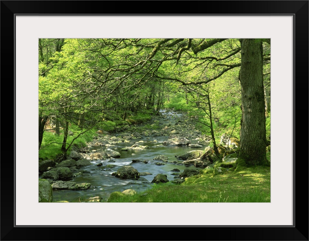 Afon Artro passing through natural oak wood, Llanbedr, Gwynedd, Wales, UK