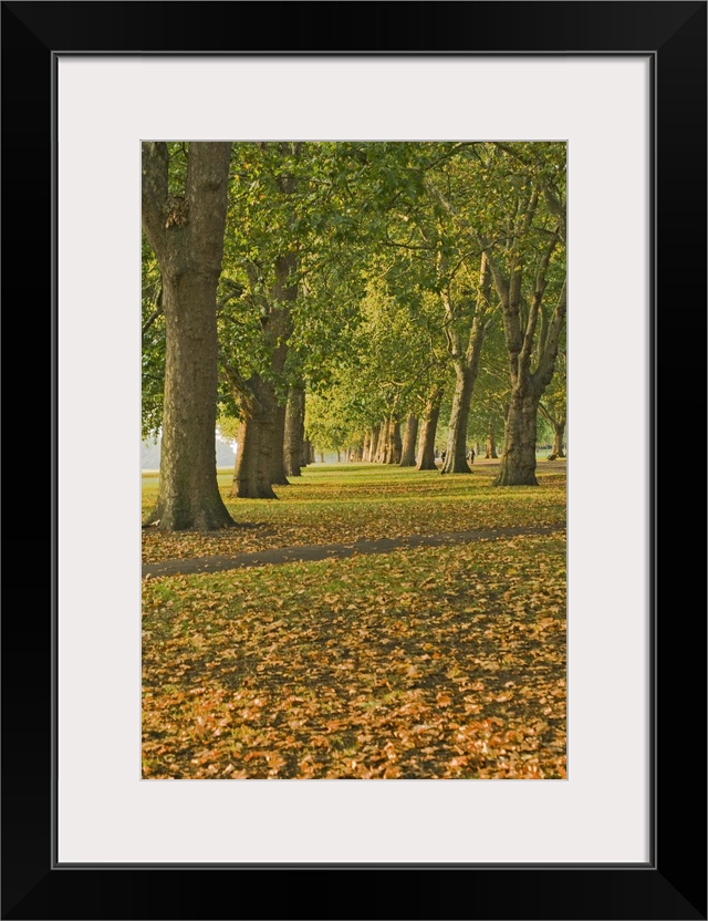 Autumn, Hyde Park, London, England