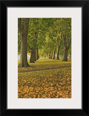 Autumn, Hyde Park, London, England