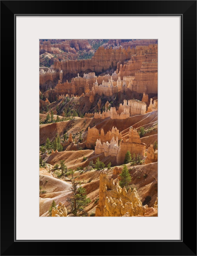 Backlit sandstone hoodoos in Bryce Amphitheater, Bryce Canyon National Park, Utah