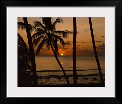 Beach at sunset, Barbados, West Indies, Caribbean, Central America