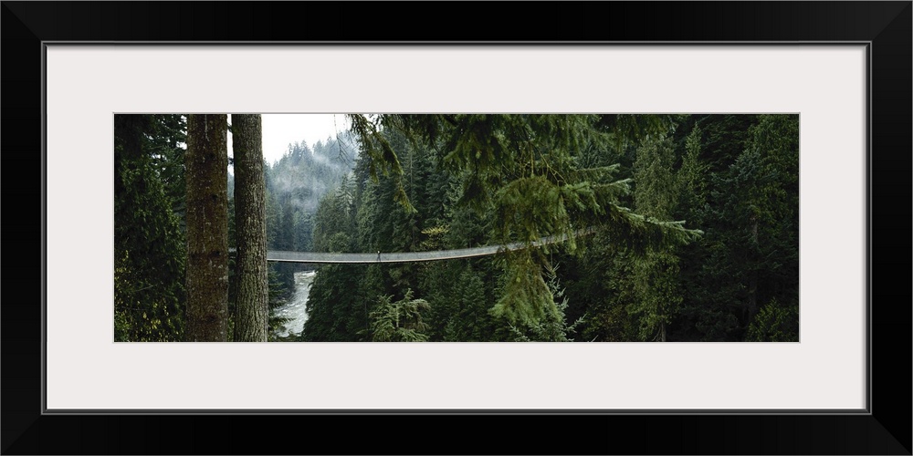 Capilano Suspension Bridge, Vancouver, British Columbia, Canada, North America