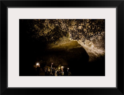 Cavers shining lamps on bats in Pokhara Bat Caves, Pokhara, Nepal