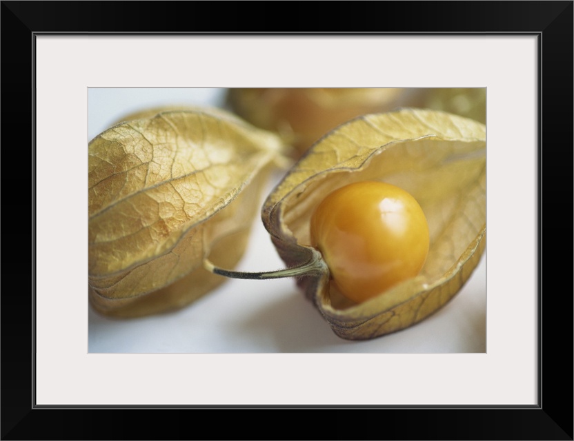 Chinese lantern fruit (physalis)