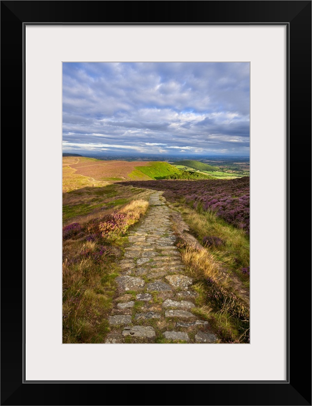 Clouds gather above the Cleveland Way and the heather-clad Little Bonny Cliff, North Yorkshire Moors, Yorkshire, England, ...