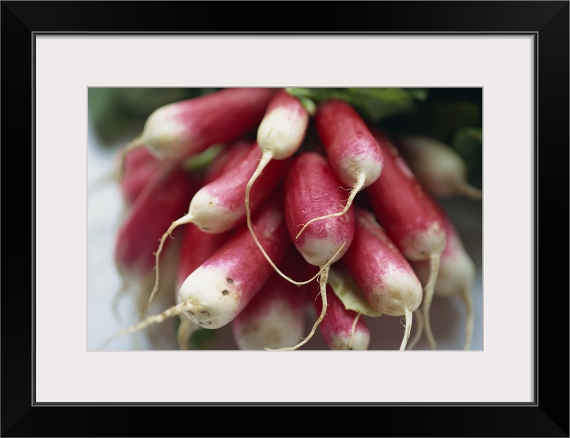 Close-up of a bunch of radishes