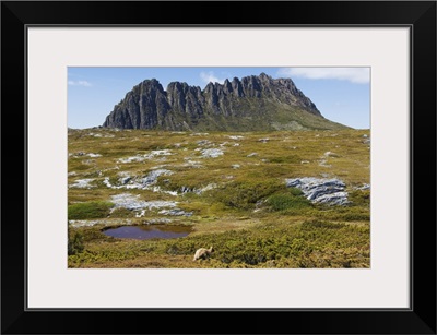 Cradle Mountain, part of Tasmanian Wilderness, Tasmania, Australia