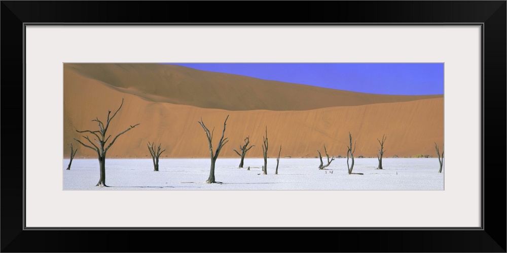 Dead trees and orange sand dunes, Dead Vlei, Namib Desert, Namibia, Africa