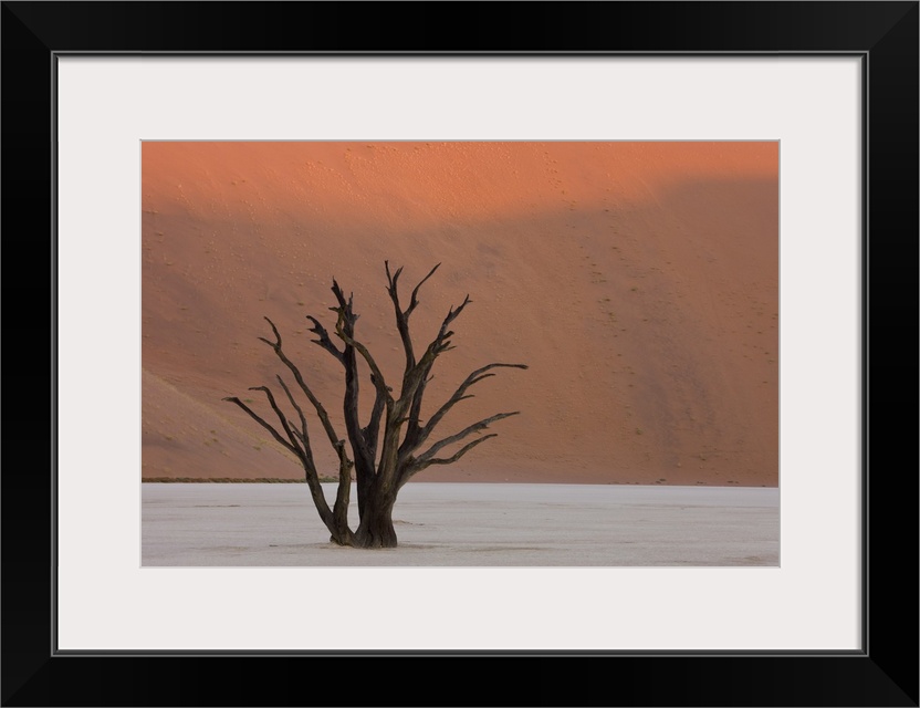 Dead Vlei, Sossusvlei, Namib Desert, Namibia, Africa