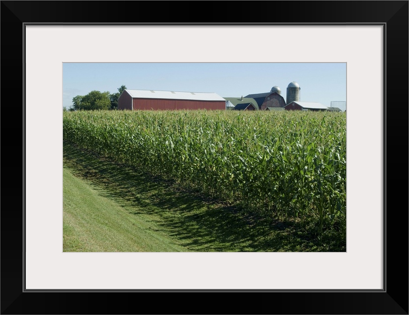 Farm, North Wood Park, Wisconsin