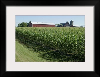 Farm, North Wood Park, Wisconsin