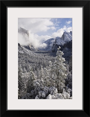Fresh snow fall on El Capitan in Yosemite Valley, Yosemite National Park, California