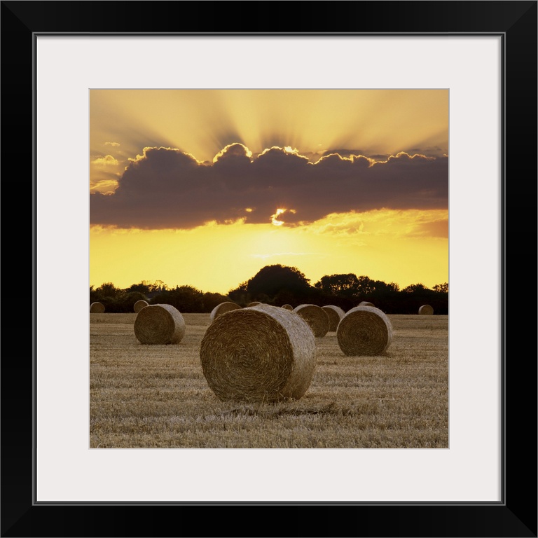 Hay bales at sunset, East Sussex, England, UK