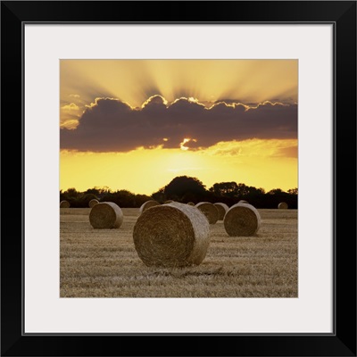 Hay bales at sunset, East Sussex, England, UK