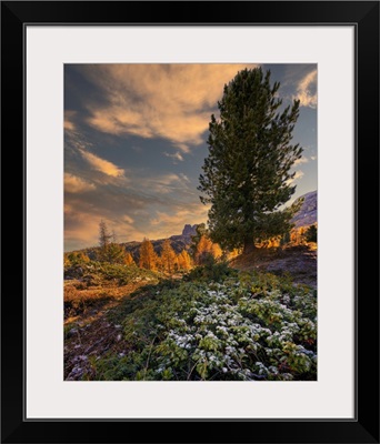 Italy, Veneto, Dolomites, Falzarego Pass, Nuvolau In Autumn