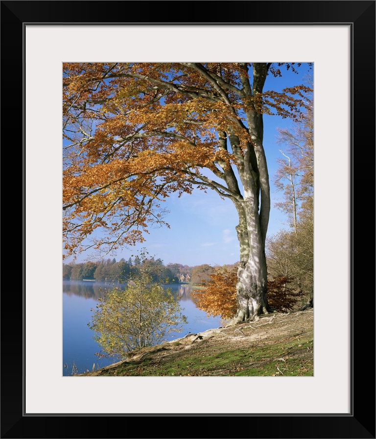 Lake, Virginia Water, Windsor Great Park, Berkshire, England