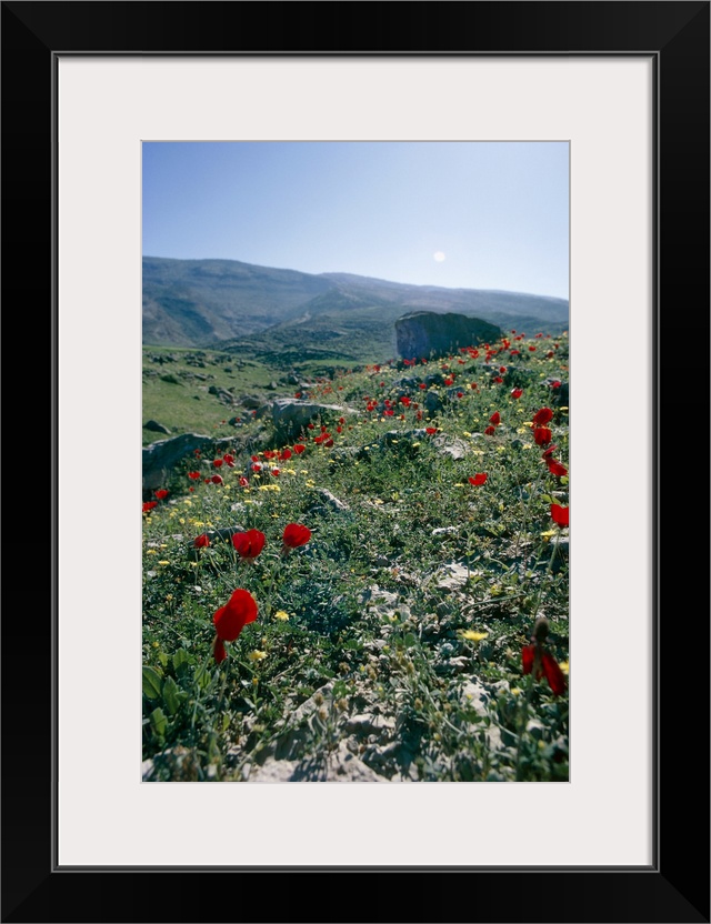 Landscape near Shiraz, Iran, Middle East