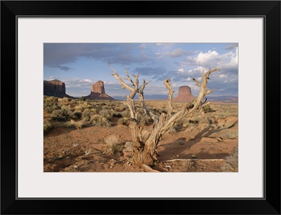 Monument Valley, Arizona, United States of America (U.S.A.), North America
