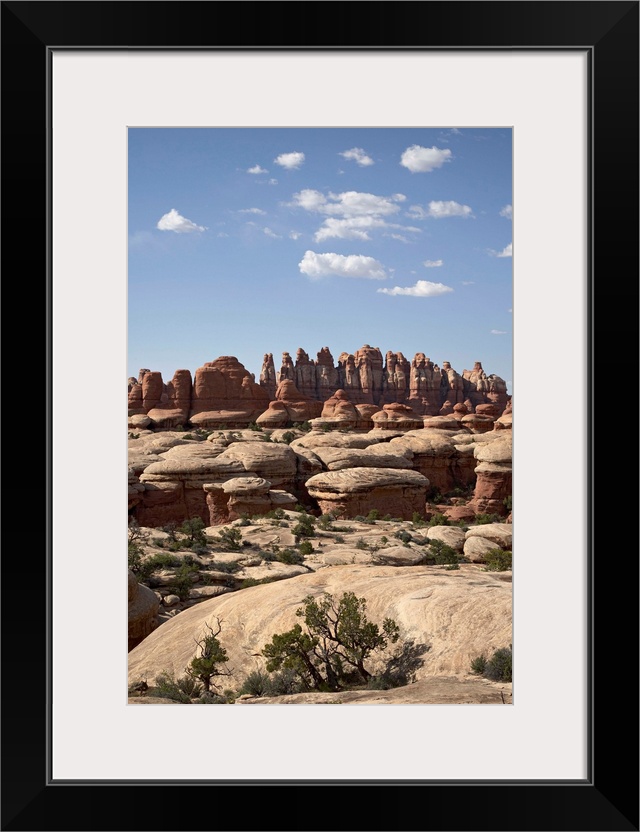 Needles near Elephant Hill, Canyonlands National Park, Utah