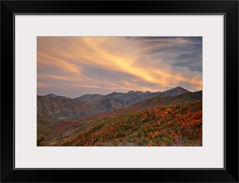 Orange clouds at sunset, Uinta National Forest, Utah