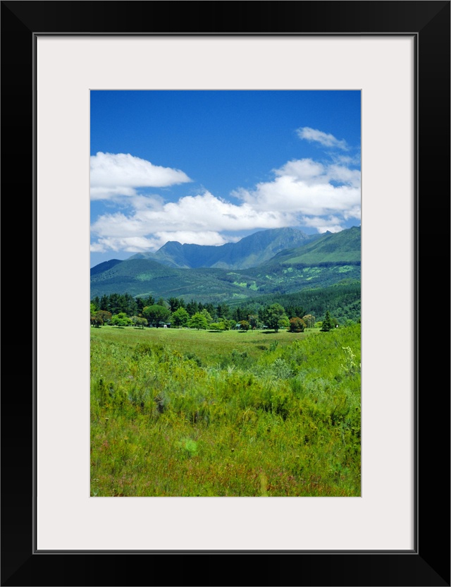 Outeniqua Mountains, Garden Route, South Africa