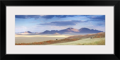 Panoramic view over the landscape of the Namib Rand game reserve, Namibia, Africa