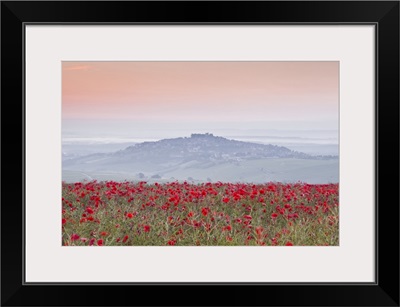 Poppies above the village of Sancerre in the Loire Valley, Cher, Centre, France