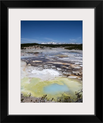 Porcelain Springs In The Norris Geyser Basin, Yellowstone National Park, Wyoming