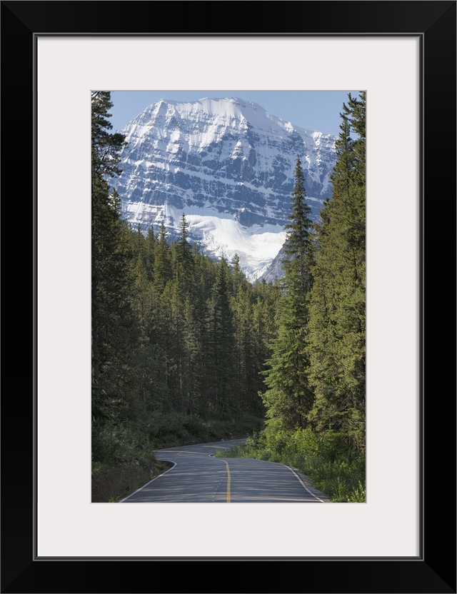 Road to Mount Edith Cavell, Jasper National Park, Rocky Mountains, Canada