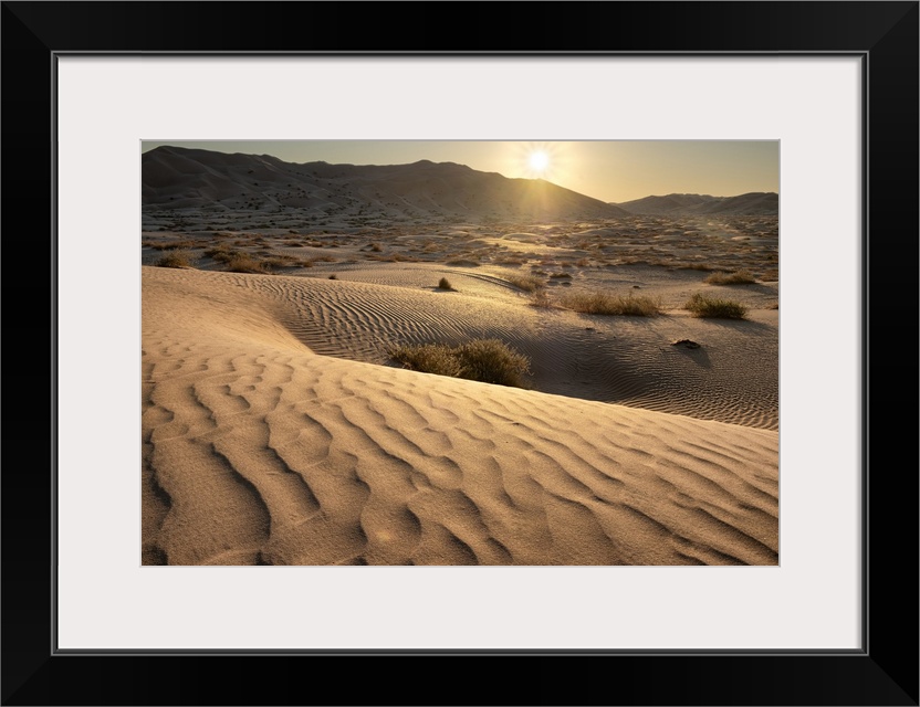 Sand dunes at sunset in the Rub al Khali desert, Oman, Middle East