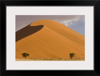 Sand dunes, Sossusvlei, Namib Naukluft Park, Namib Desert, Namibia, Africa