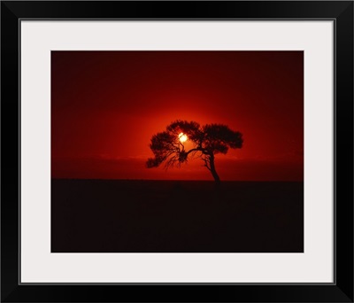 Sunset, Mundi Mundi Plains, New South Wales, Australia
