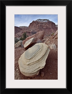 Tan sandstone boulder among red rocks, Carson National Forest, New Mexico