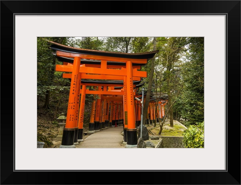 The Endless Red Gates (torii) of Kyoto's Fushimi Inari Shrine, Kyoto, Japan, Asia.