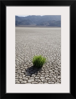 The Racetrack Point, Death Valley National Park, California, USA