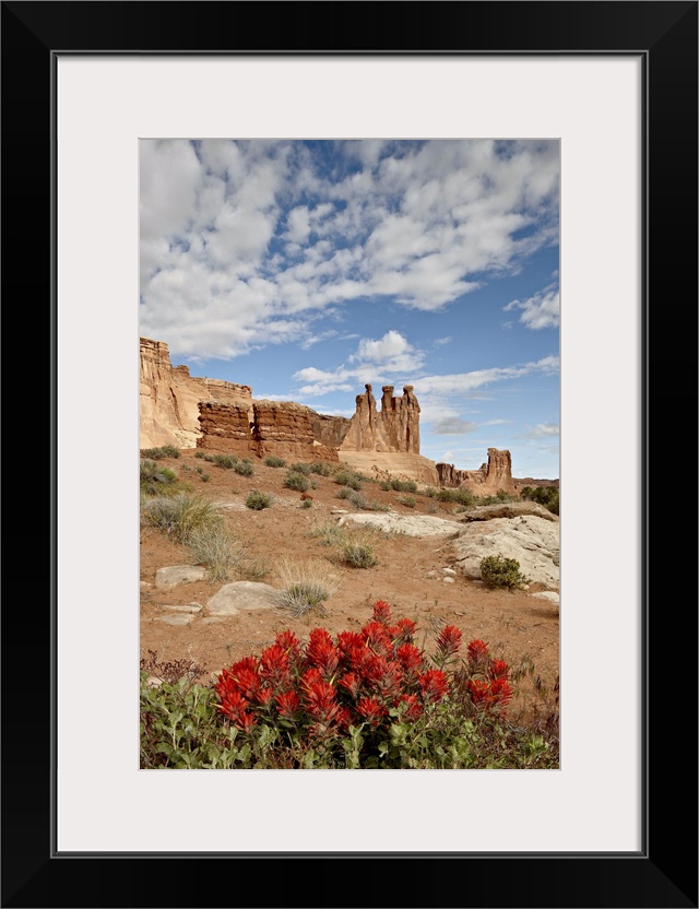 The Three Gossips and common paintbrush, Arches National Park, Utah