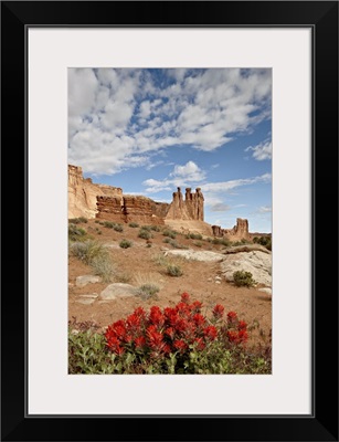 The Three Gossips and common paintbrush, Arches National Park, Utah