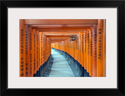 Torii Gate At Fushimi Inari Jinja, Shinto Shrine, Kyoto, Honshu, Japan