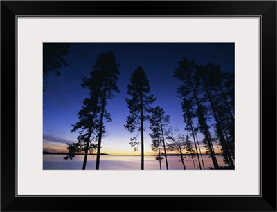 Trees and lake at sunset, Laponia, Lappland, Sweden, Scandinavia