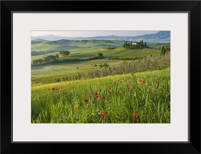 Val d'Orcia showing Belvedere and rolling Tuscan countryside, Tuscany, Italy