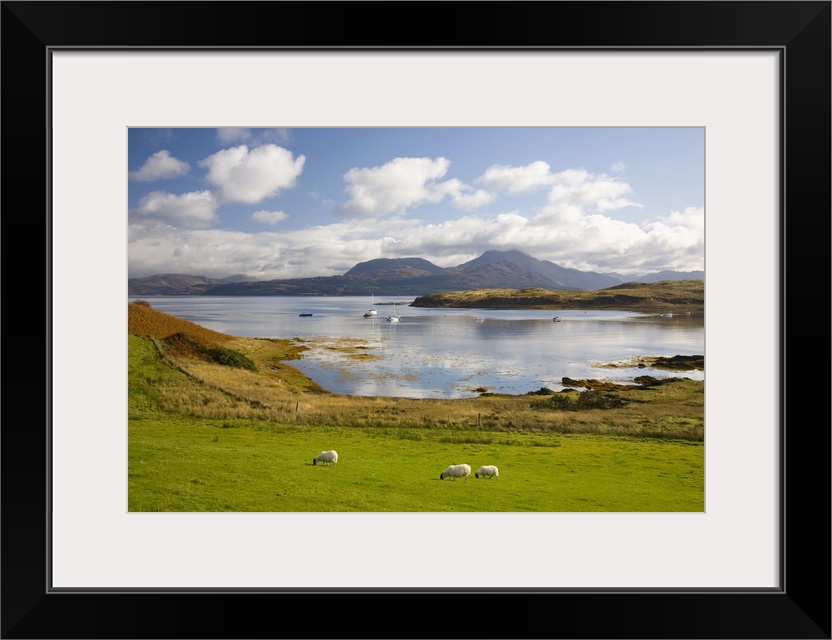 View across harbour to the Sound of Sleat and hills of the Knoydart Peninsula, sheep grazing, Isleornsay, Isle of Skye, Hi...