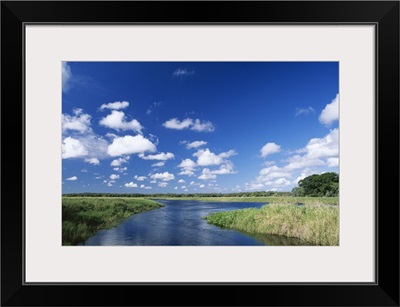 View from riverbank of white clouds and blue sky, Myakka River State Park, Florida, USA