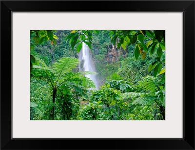 Waterfall, Guadeloupe, French Antilles, West Indies, Caribbean