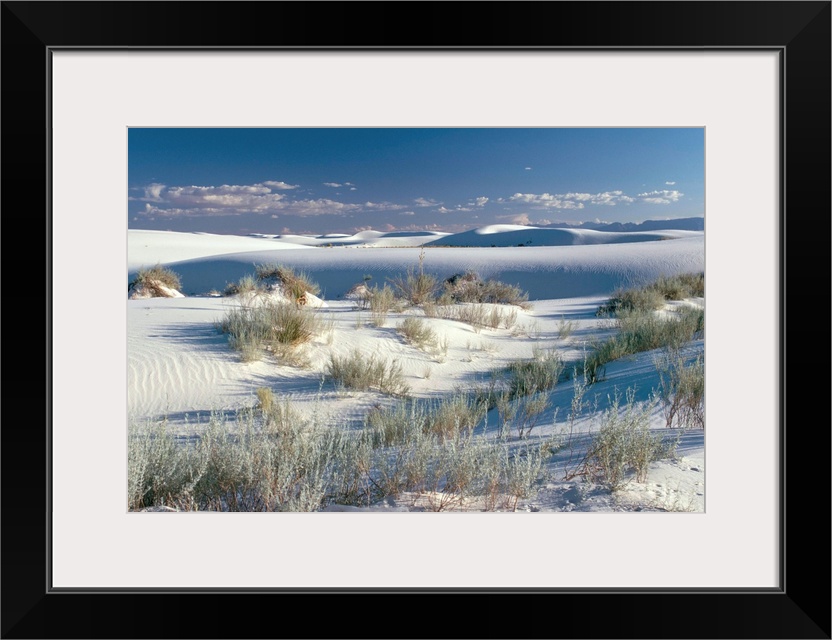 White Sands Desert, New Mexico, United States of America, North America