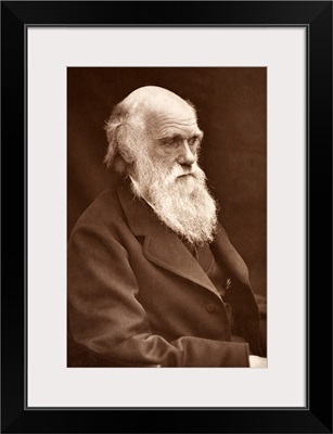 1874 Charles Darwin picture by Leonard