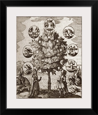 Alchemical tree, Philosophia reformata