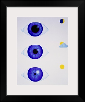 Artwork showing the pupil of eye in varying light