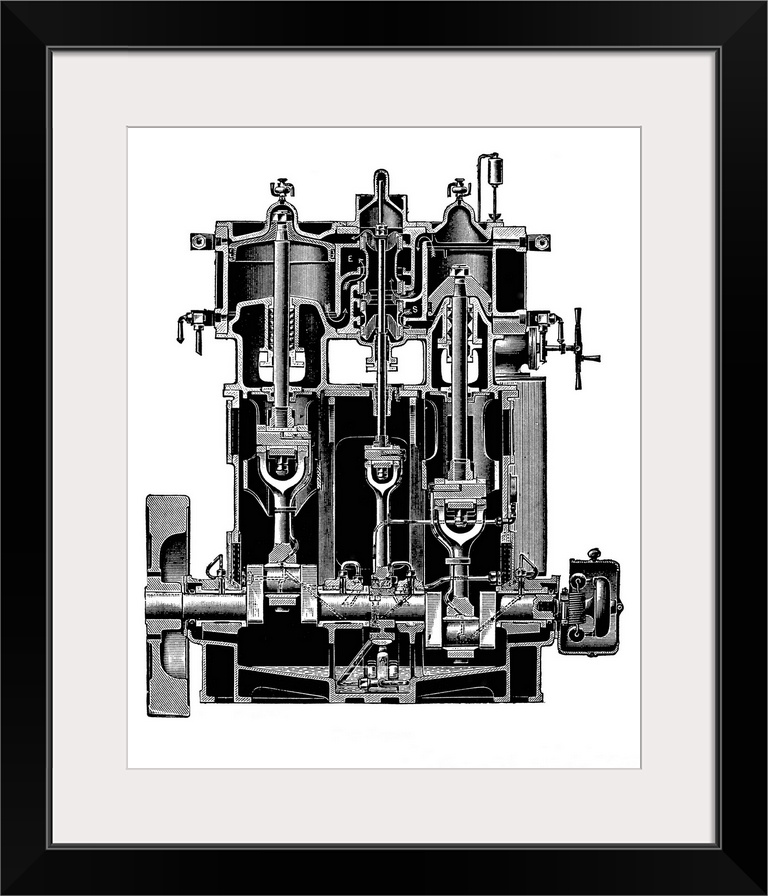 Bellis and Morcom steam engine. Cutaway artwork of a front-section through a double-acting steam engine. This design was d...
