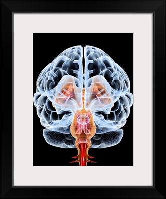 Brain, artwork