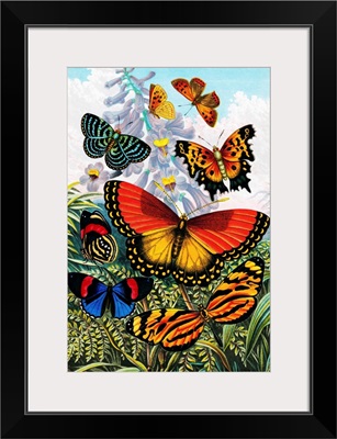 Butterflies, artwork